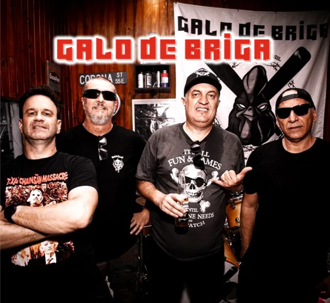 Galo de Briga